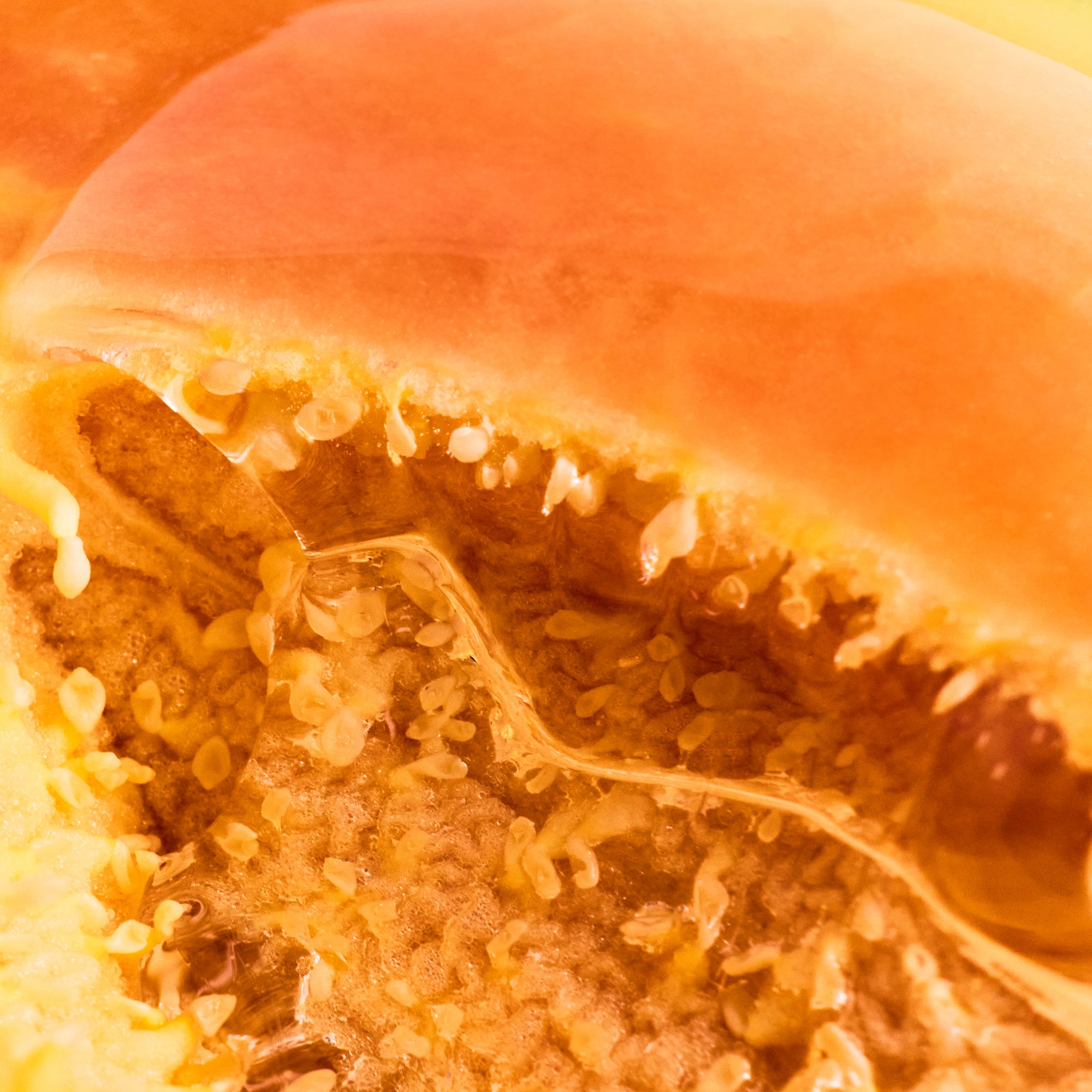 Digestive Enzymes
