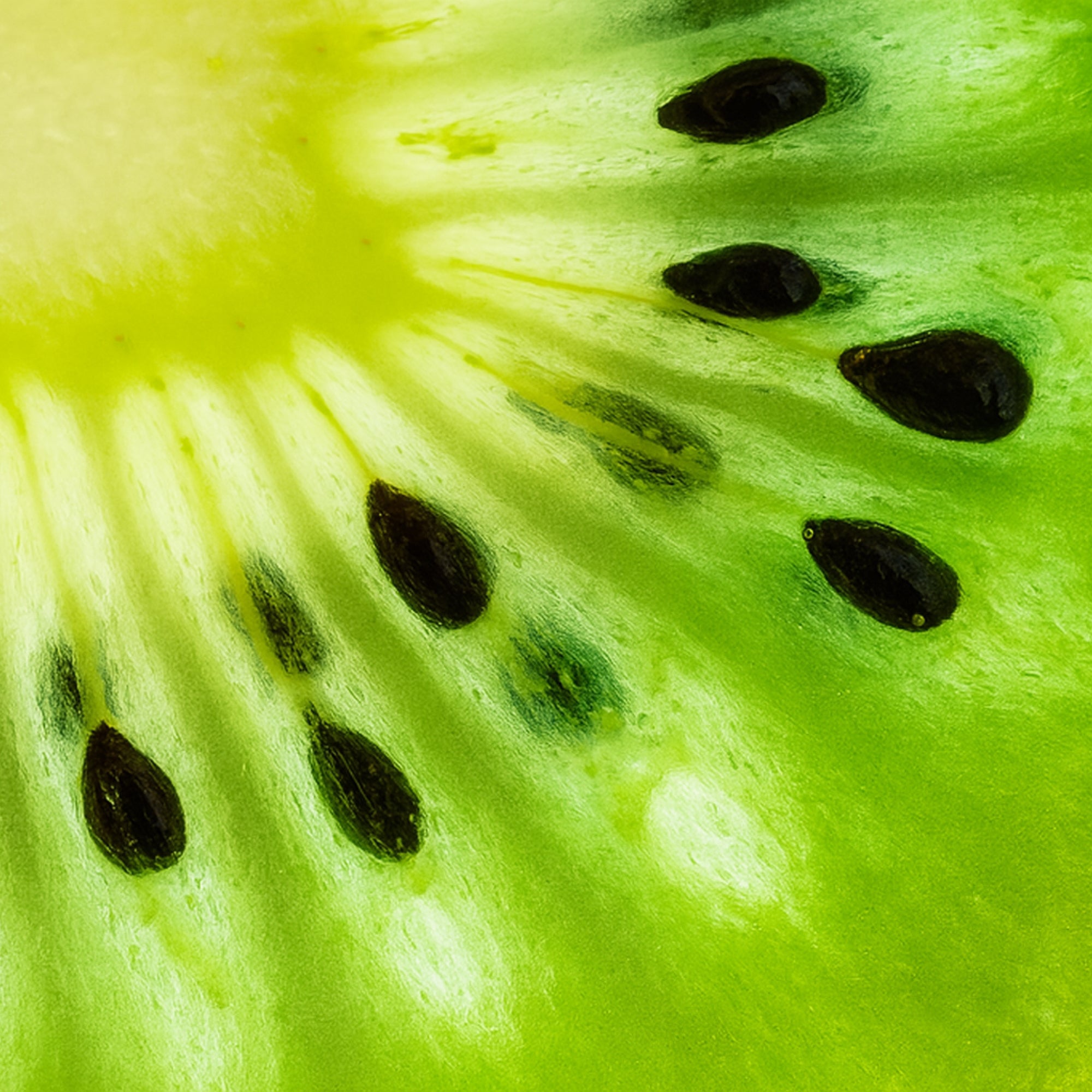 Kiwi Fruit